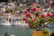 symi flowers